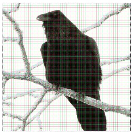 Winter Raven Cross-stitch pattern