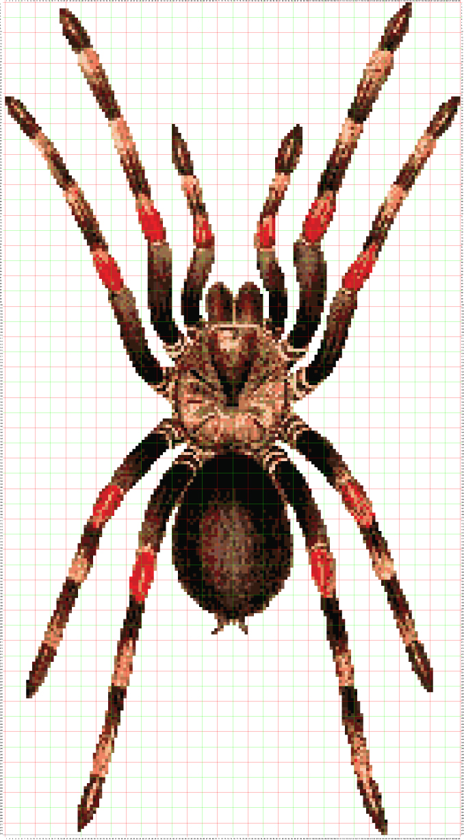 Mexican Redknee Tarantula Counted Cross Stitch Pattern
