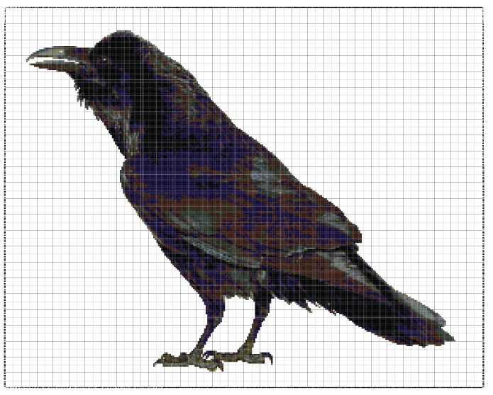 Arizona Raven Counted Cross Stitch Pattern